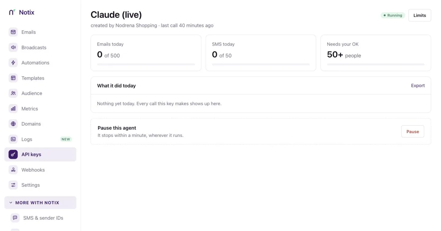 An API key page with today's usage tiles, today's calls and the pause box